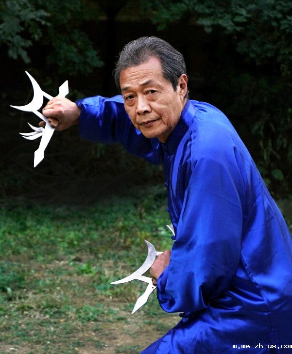 程志民武术自述